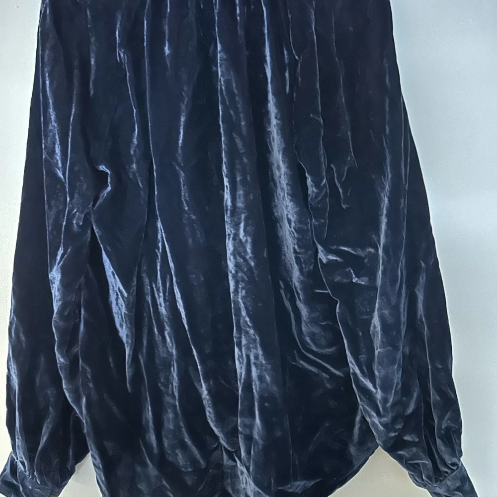 Pilcro Blue Velvet Top L - Picture 2 of 3